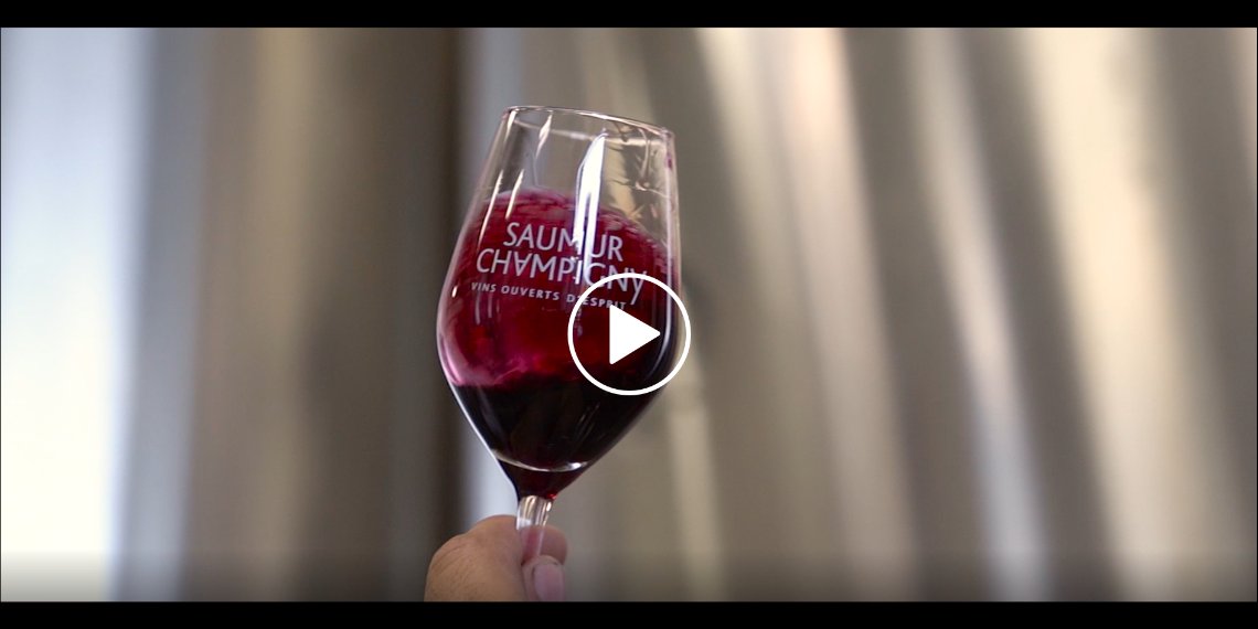 L'appellation Saumur-Champigny, Vins ouverts d'esprit